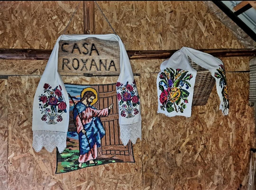 Viseu de Mijloc Casa Roxana 빌라 외부 사진